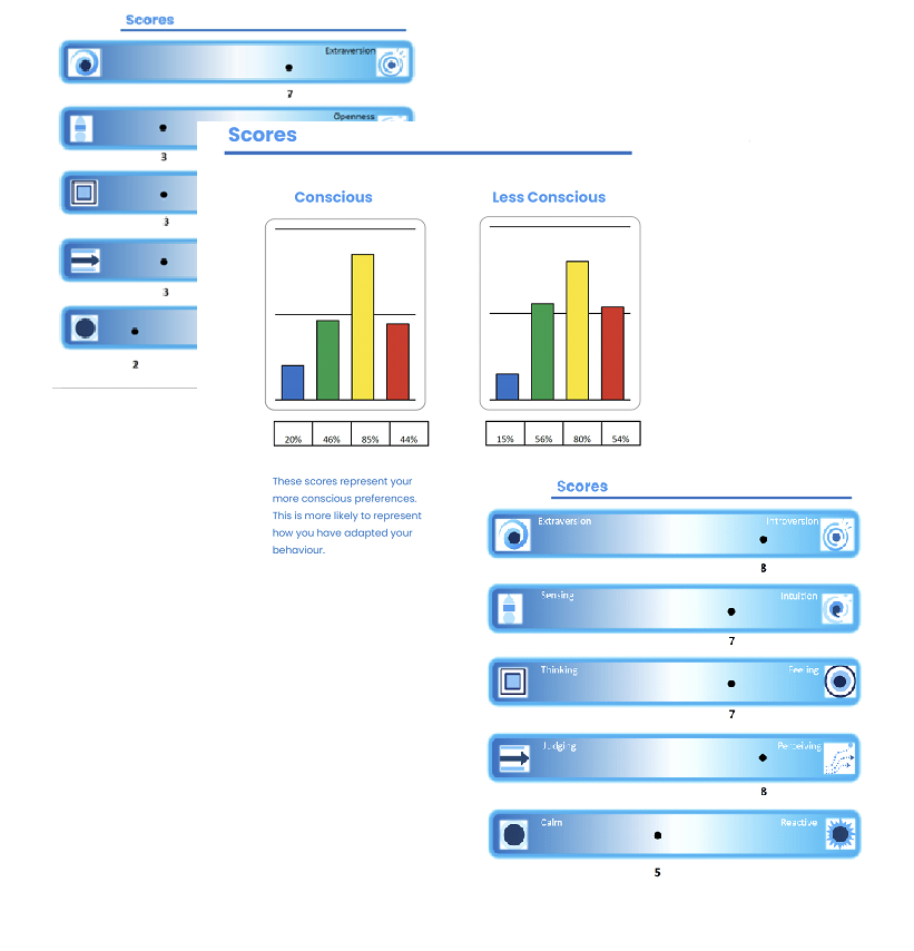 Psychometric score outputs in Insights, MBTI and Big 5 formats